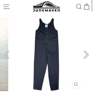 Jungmaven button front jumper